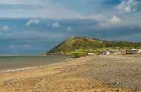 Bray