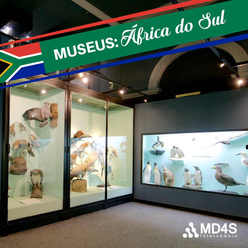 Museus