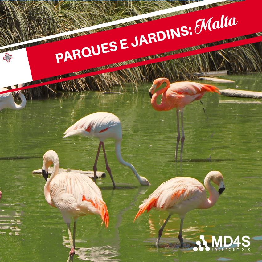 parques jardins