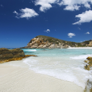 Todo para hacer una inmersión lingüística en Byron Bay, Australia