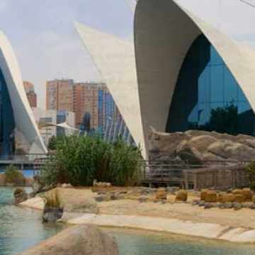 Valencia, ciudad unica: Mar, Sol y Azahar