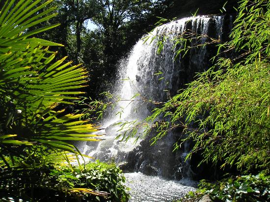 Iveagh Gardens